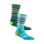 Spruce/Teal